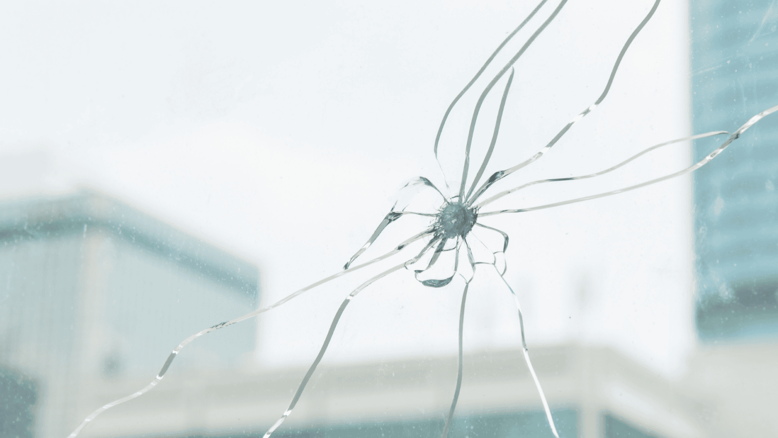 Der Sprung in der gläsernen Decke