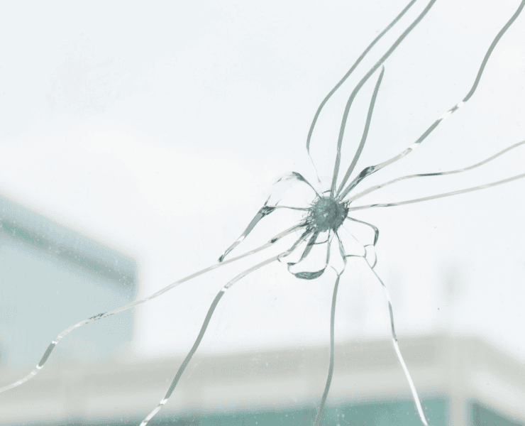 Der Sprung in der gläsernen Decke